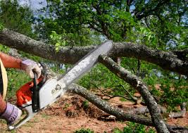 Best Weed Control  in Laguna Beach, FL